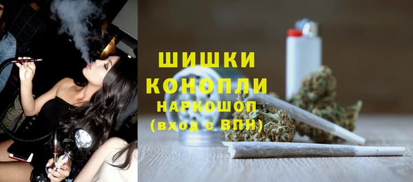 PSILOCYBIN Алзамай