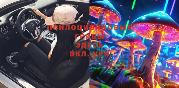 хмурый Алексеевка
