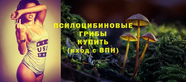 твердый Алексин