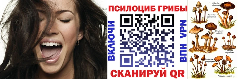 наркошоп Лобня Псилоцибиновые грибы GOLDEN TEACHER